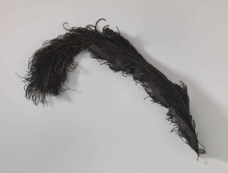Arte decorativa com penas pretas e tecido de um artista desconhecido
