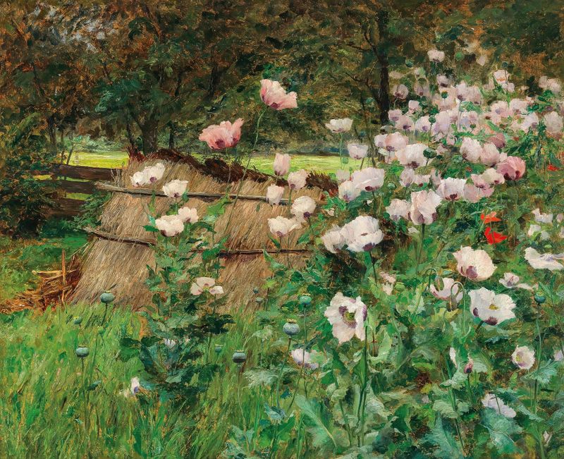 Botanical scene with flowers in Im Bauerngarten by Olga Wisinger-Florian, oil painting