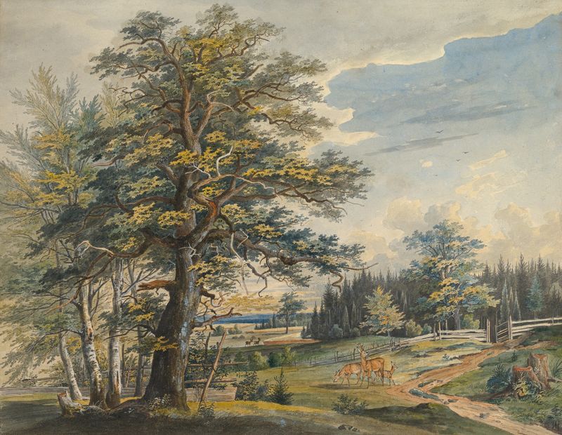 Paisaje boscoso con ciervo de Carl August Lebschee, pintura al óleo
