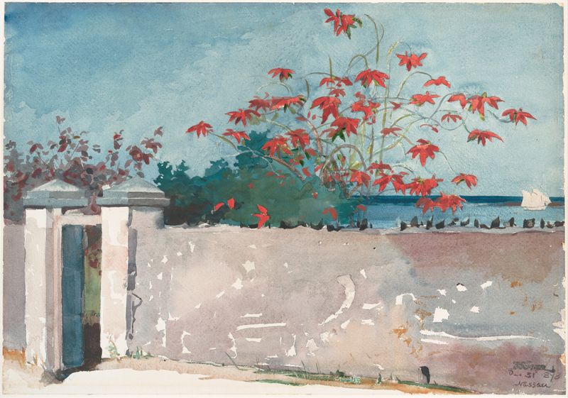 A Wall, Nassau de Winslow Homer, aquarela sobre papel que representa uma parede texturizada e um solo suave.