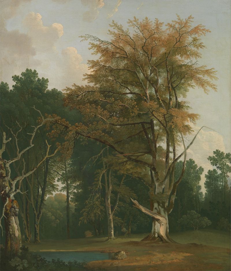 Árvores em uma clareira, pintura a óleo de Joseph Farington