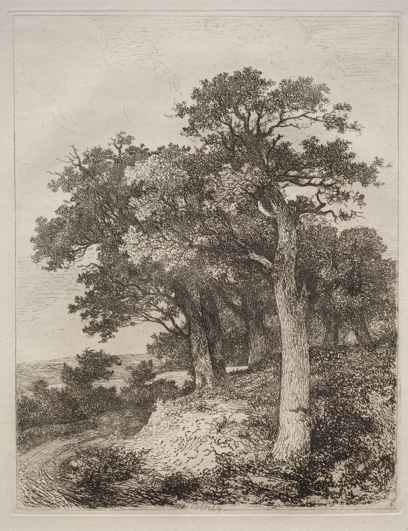 Landscape with trees and sky, oil on canvas by John Crome