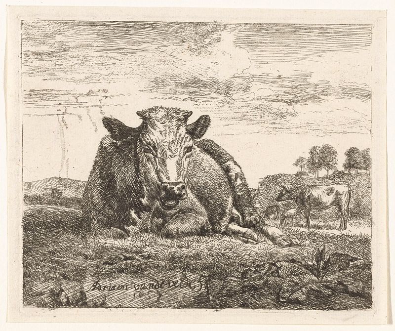 Grabado de Adriaen van de Velde que representa una vaca reclinada en un paisaje tranquilo