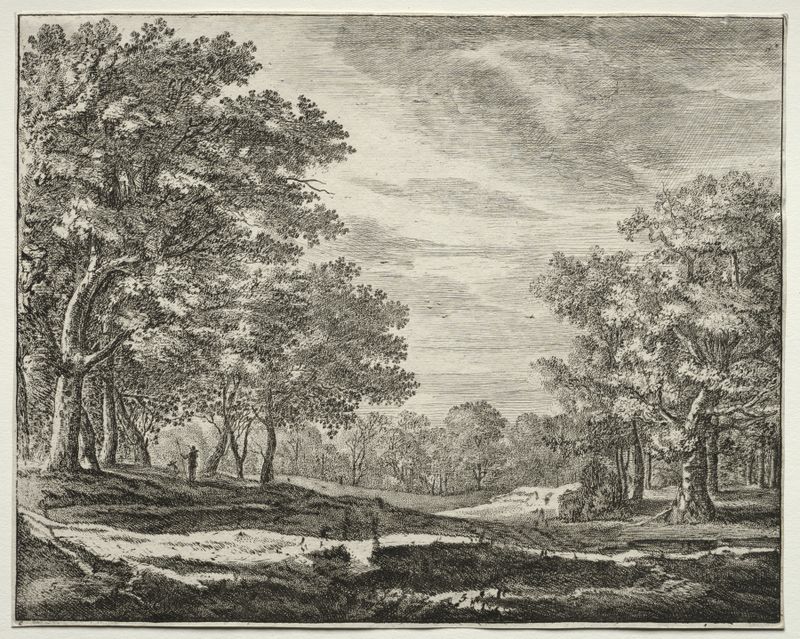 Retrato de un hombre con un bastón, óleo sobre lienzo de Roelant Roghman