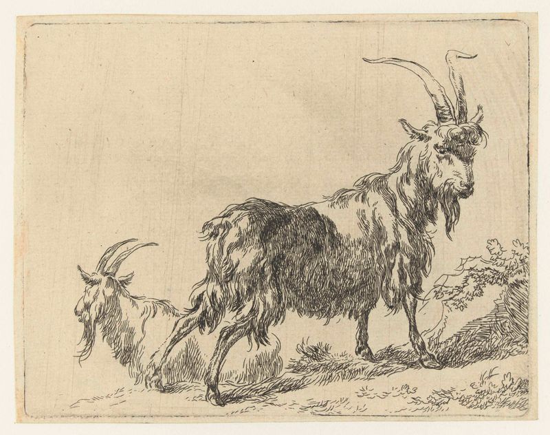 Grabado de Nicolaes Pietersz Berchem que representa cabras en un paisaje pastoral