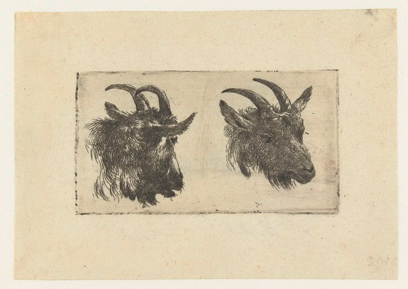 Gravura de Nicolaes Pietersz Berchem apresentando duas cabras com curvas suaves e tons terrosos.