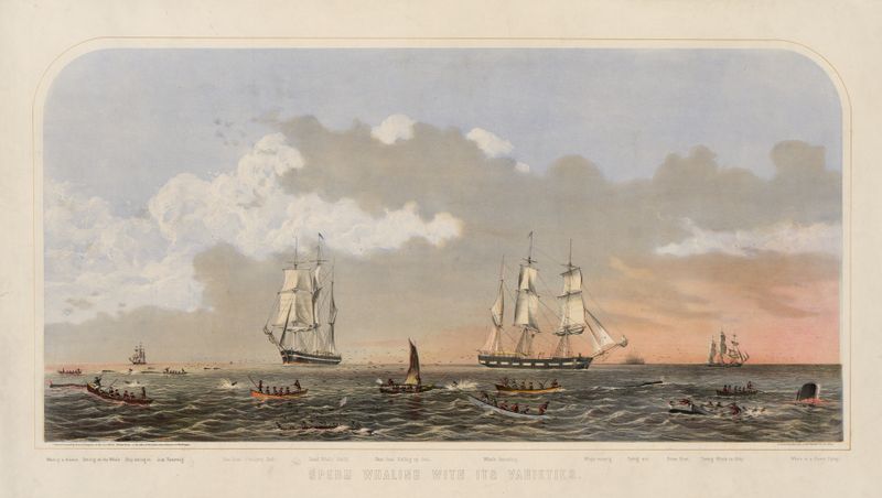Escena marina que muestra esperm whales en el océano, litografía de John H. Bufford's & Sons
