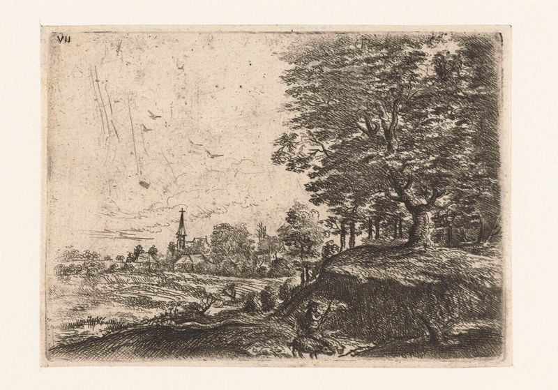 Landschap met een man met varkens, etching by Philips Augustijn Immenraet