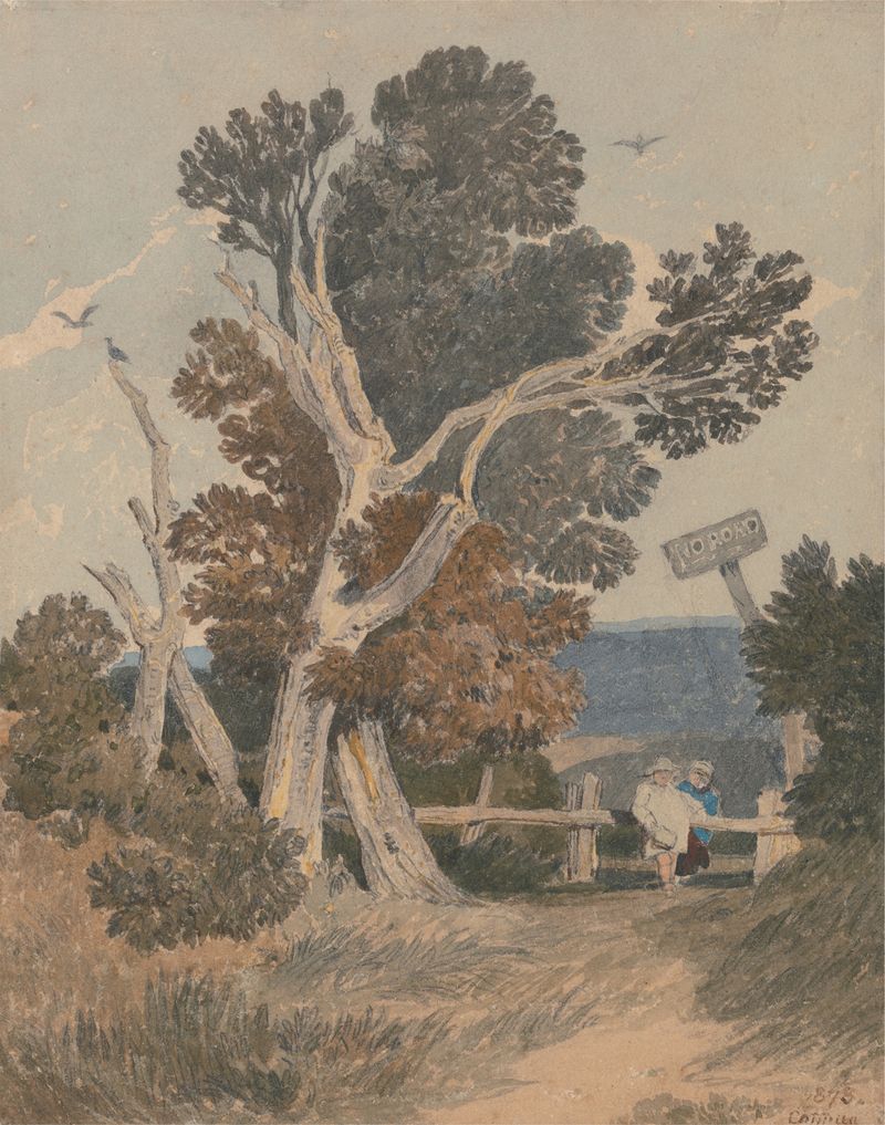 Um grupo de árvores perto de uma cerca, aquarela sobre papel de John Sell Cotman