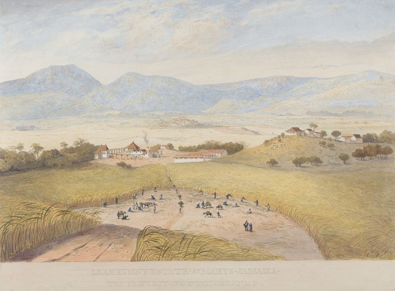 Llanrumny Estate, St. Mary’s, Jamaica, watercolor on paper by James Hakewill