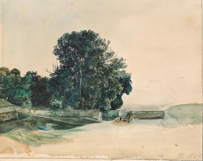 Estudo de uma árvore de Rudolf von Alt, aquarela sobre papel mostrando uma árvore majestosa com luz filtrando pelas folhas.