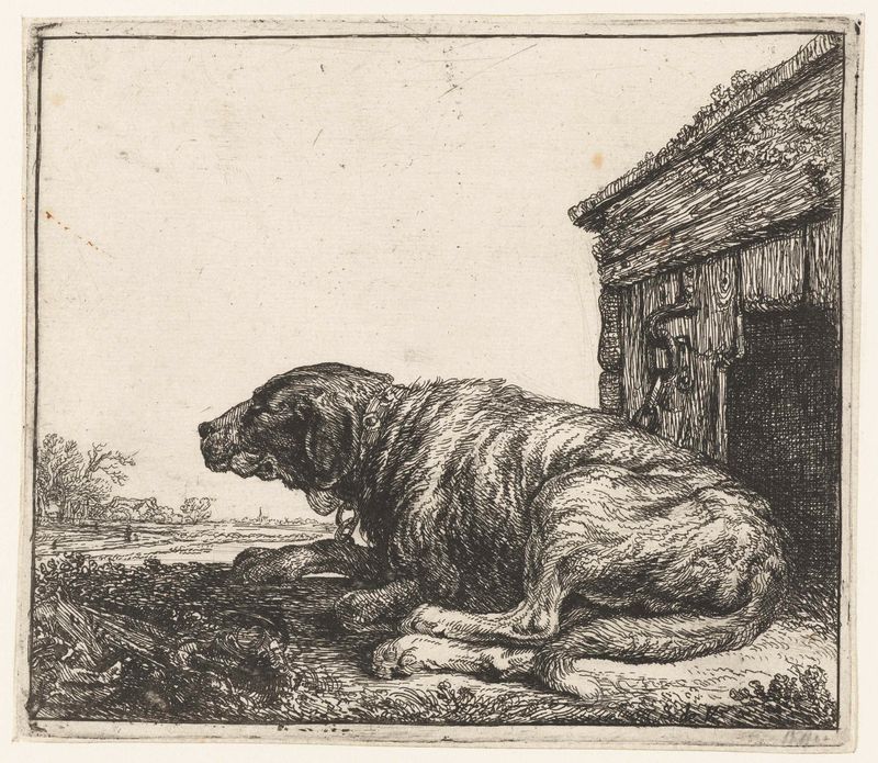 Perro real en punta seca de Simon de Vlieger, pelaje iluminado por luz cálida.