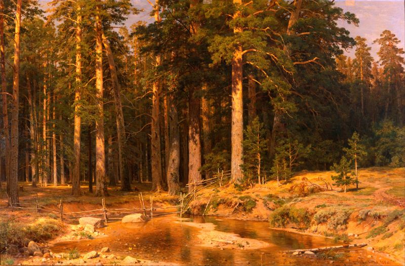 Forest landscape with towering trees and light filtering through the canopy, oil painting by Ivan Ivanovich Shishkin