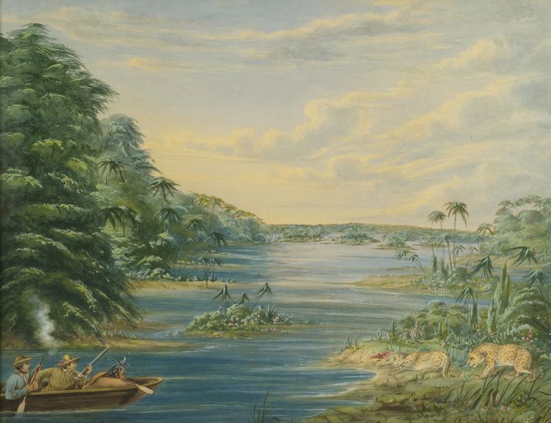 Leopard Hunting in Brazil, óleo sobre lienzo de George Catlin