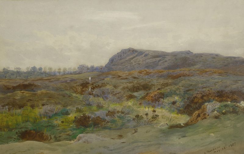 Moorland landscape oil painting by Archibald Thorburn depicting rolling hills and a vibrant sky.