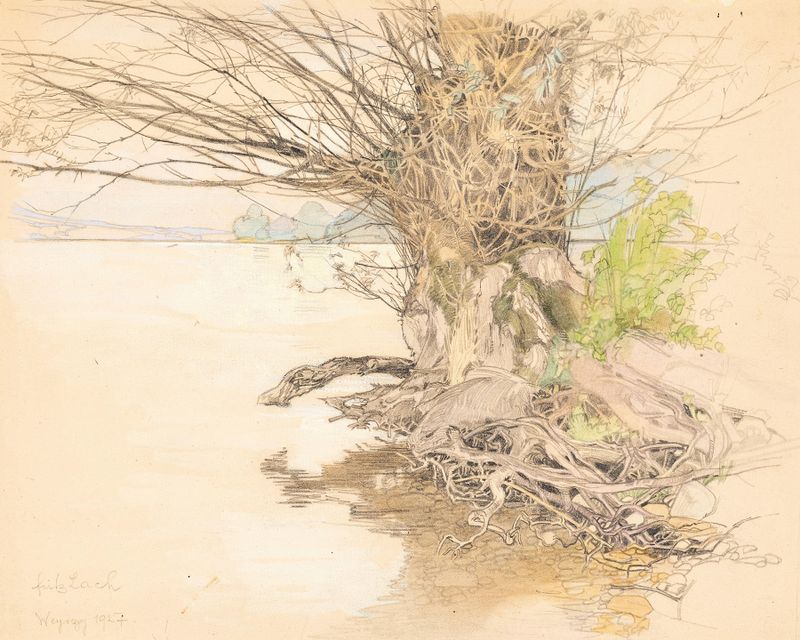A willow tree at the lake shore by Fritz Lach, realism, depicting a tranquil landscape with reflections on the water.