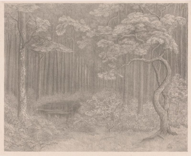 Landscape by Simon Moulijn, depicting a forest with radiant light, oil painting