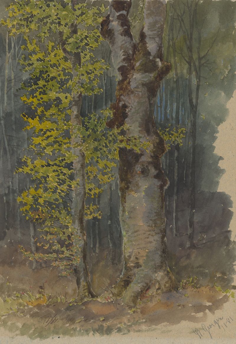Watercolour by Friedrich Carl von Scheidlin depicting a tree trunk with branches reaching out.