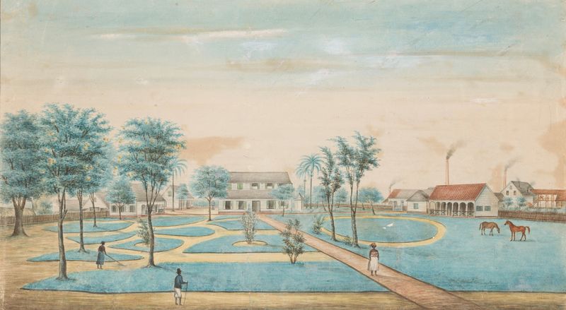 Paisaje de una plantación de azúcar bajo la luz del sol por Alexander Ludwich Brockmann
