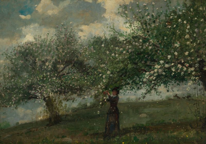 Menina colhendo flores de macieira, aquarela sobre papel de Winslow Homer