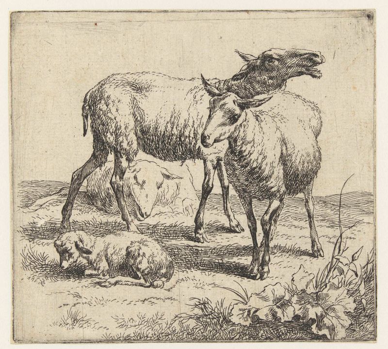 Grabado de Nicolaes Pietersz Berchem que muestra ovejas y un cordero en un entorno pastoral
