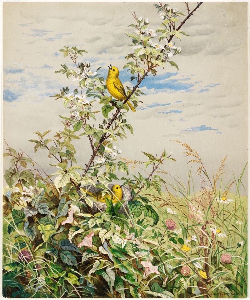 Watercolour by Fidelia Bridges depicting vibrant flowers and sunlight filtering through leaves.