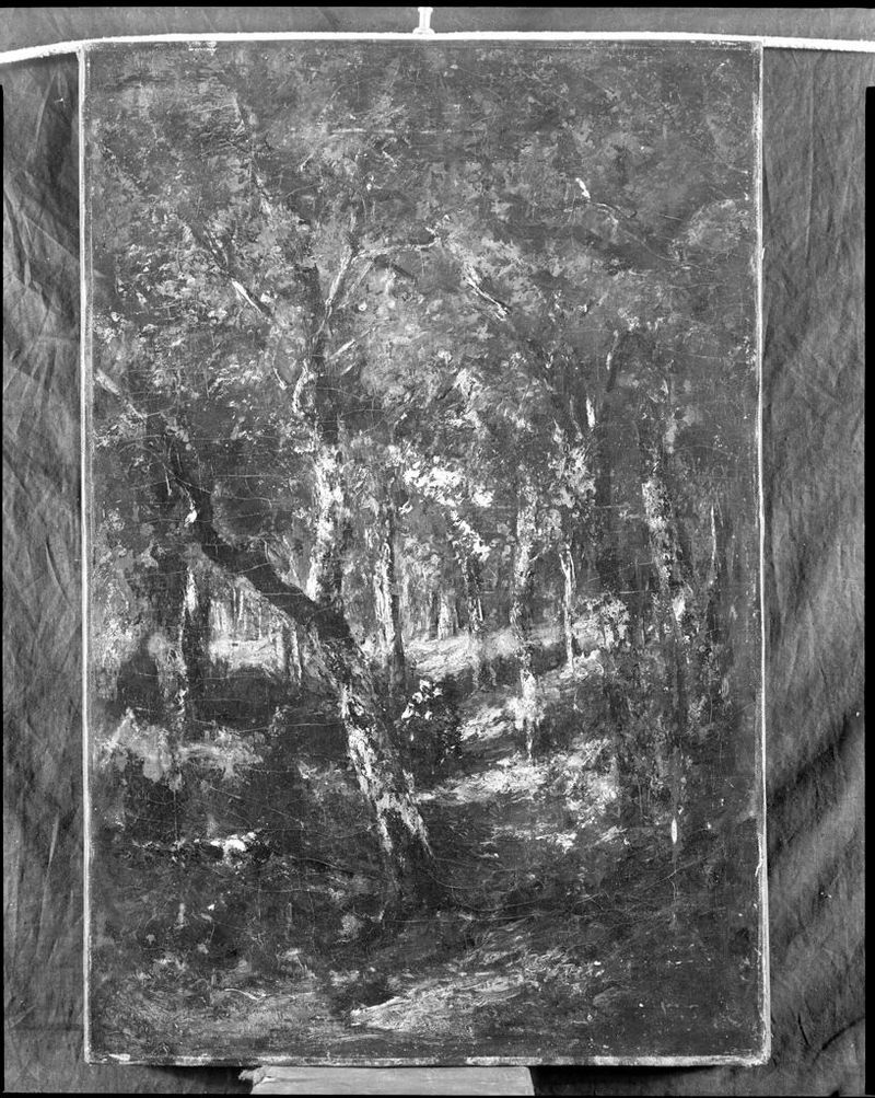 Forest Landscape by Narcisse Virgile Diaz de la Peña, oil on canvas depicting lush trees and dappled light.