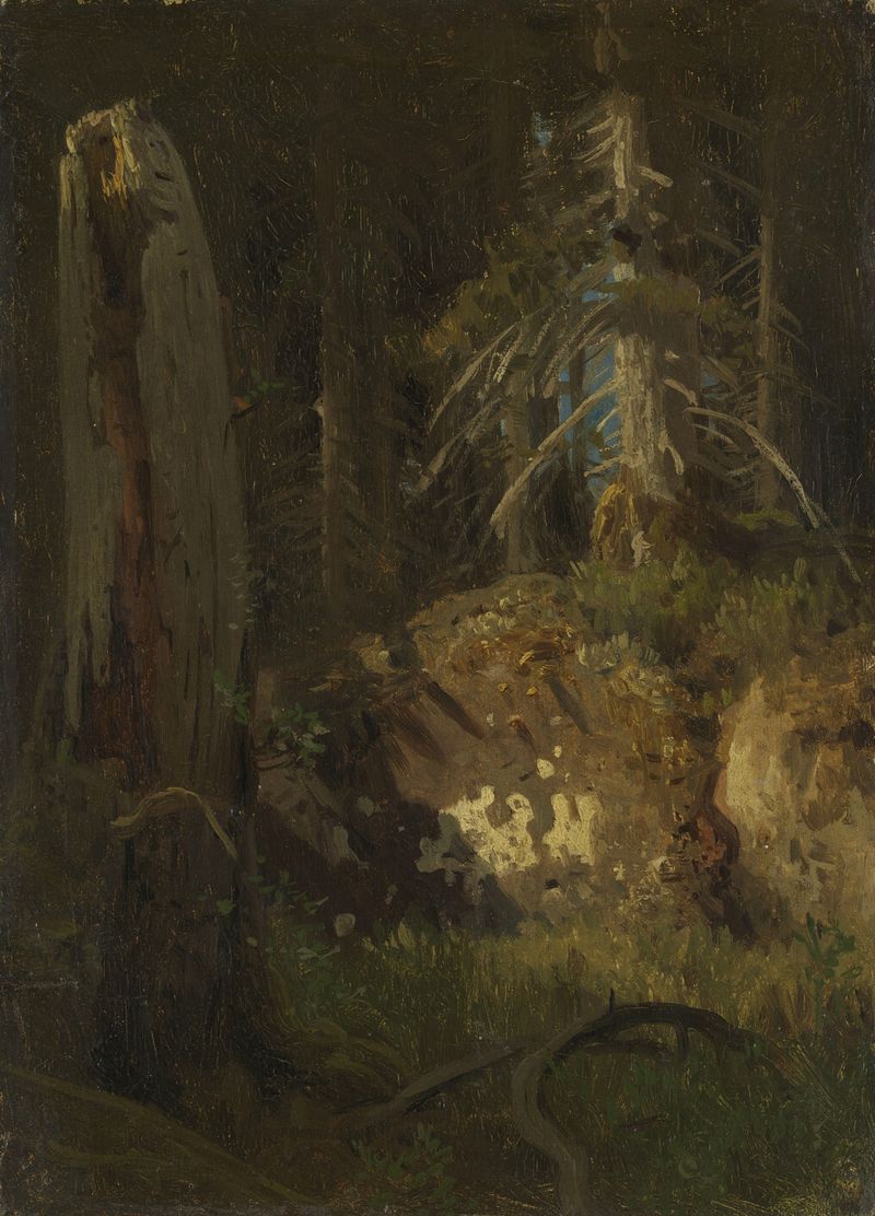 Estudio de Paisaje con Árboles en Decadencia, óleo sobre lienzo de August Cappelen
