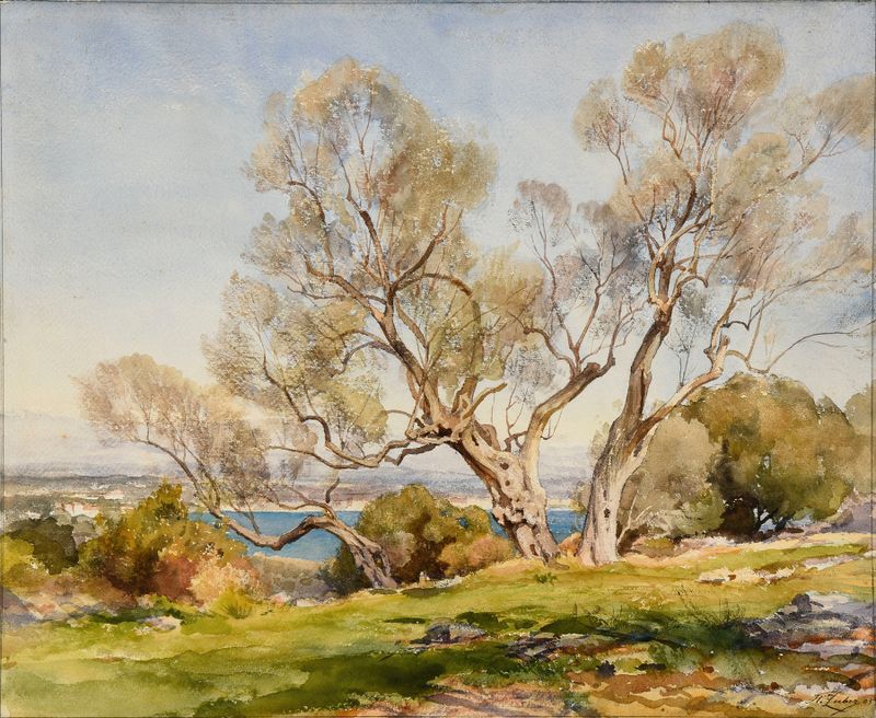 Les oliviers. Cap d’Antibes de Jean-Henri Zuber, óleo sobre tela mostrando oliveiras sob a luz do sol.