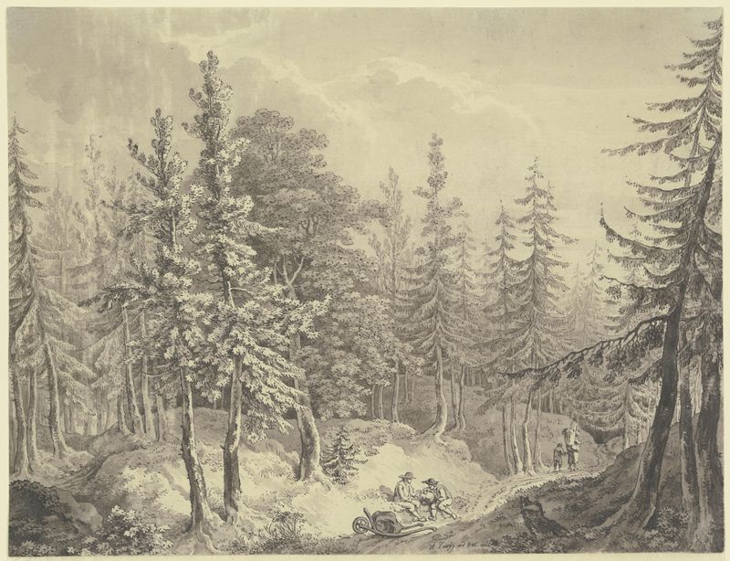 Weg durch einen dichten Tannenwald de Adrian Zingg, retratando uma densa floresta de abetos com luz filtrada.