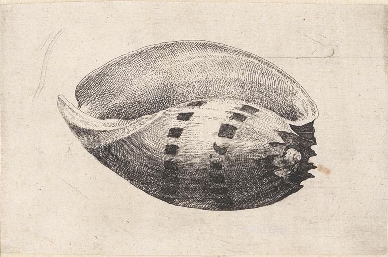 Grabado de Wenceslaus Hollar que representa una amphora con curvas elegantes.
