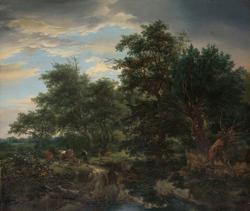 Forest scene by Jacob van Ruisdael, oil painting depicting trees and sunlight