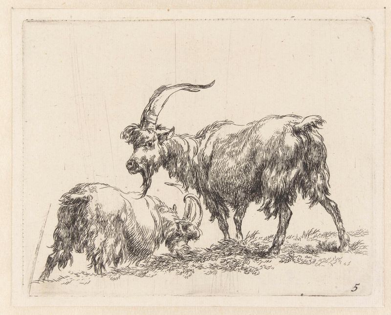 Grabado de cabras pastando de Nicolaes Pietersz Berchem