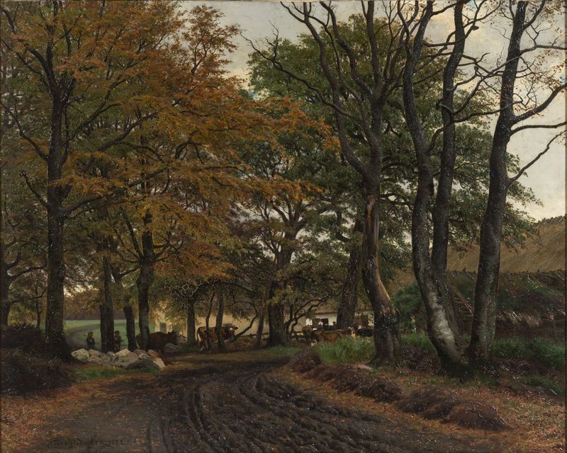 forest