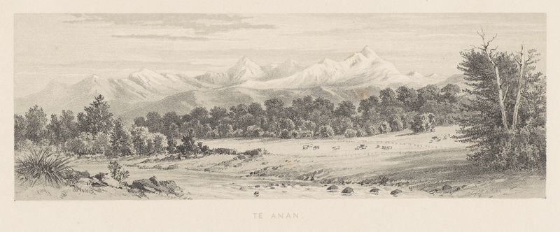 Engraving by Charles Decimus Barraud depicting Te Anau lake and mountains