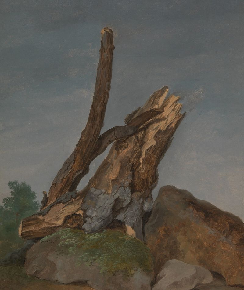 Estudo de Rochas e Ramos de George Augustus Wallis, pintura a óleo que retrata rochas e ramos texturizados.