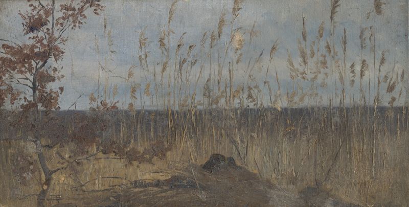 Estudio de un paisaje de pantano de Ladislav Mednyánszky, óleo sobre lienzo que representa aguas tranquilas y follaje.