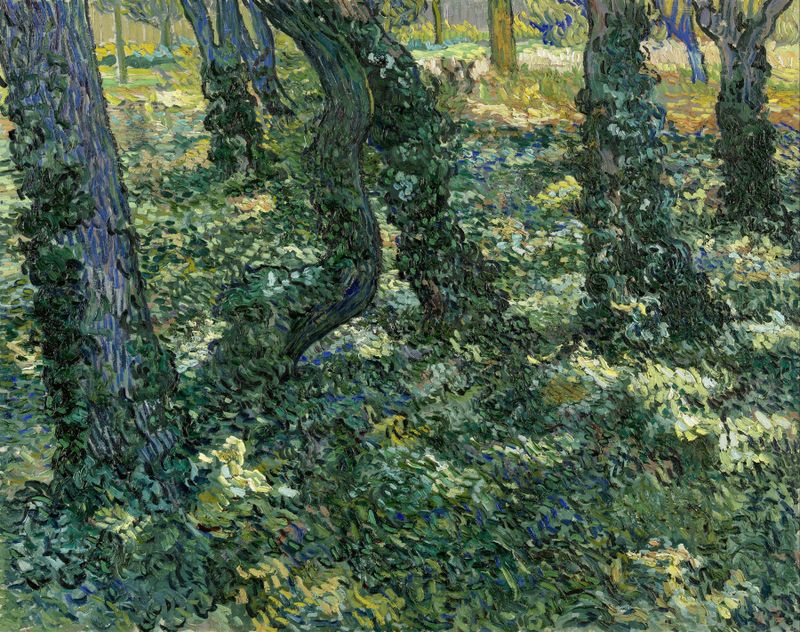 Undergrowth de Vincent van Gogh, óleo sobre lienzo que muestra follaje vibrante y verdes caóticos.