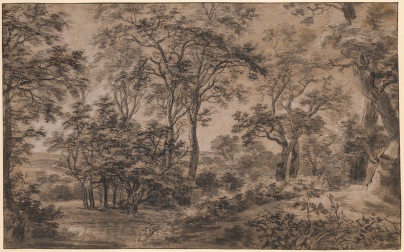 Wooded landscape by Antonie Waterloo, oil on canvas showing sunlight filtering through trees.
