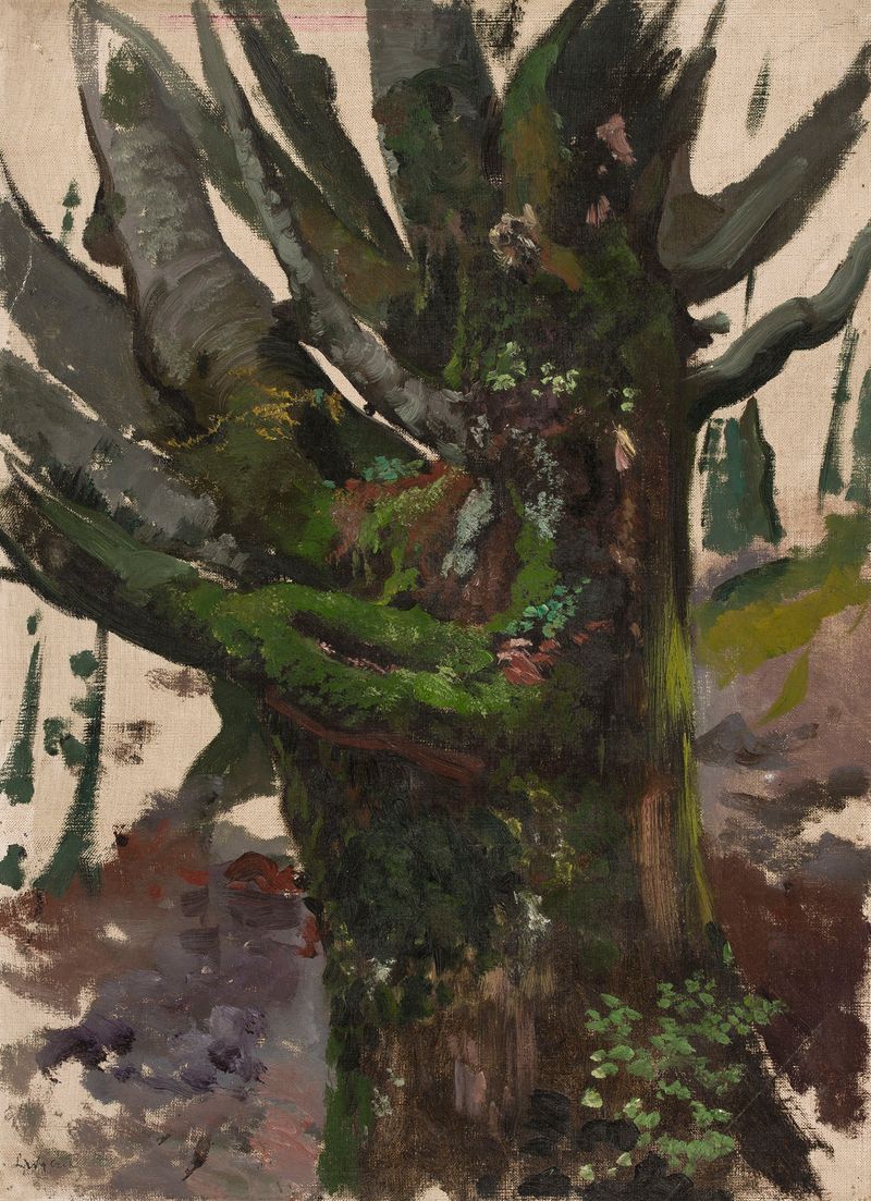 Estudio de un árbol de Leon Wyczółkowski, óleo sobre lienzo que representa un árbol solitario en un entorno natural.