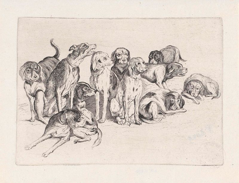Gravura Elf jachthonden de Wenceslaus Hollar mostrando cães em uma floresta