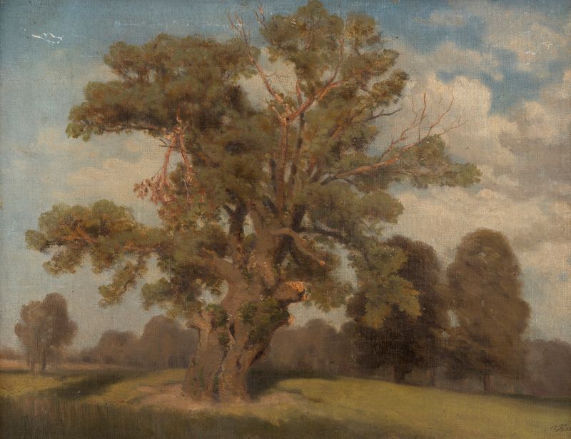 Alter Baum in der Krieau by Franz Brzezowsky, depicting an ancient tree in a serene landscape, oil painting