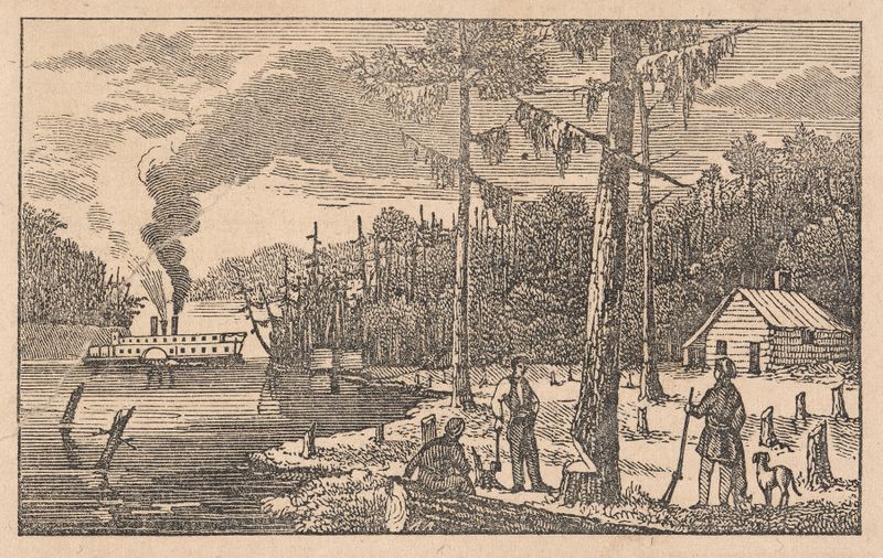 Paisagem no estilo Romantismo de Alexander Anderson, retratando a natureza e a transformação.