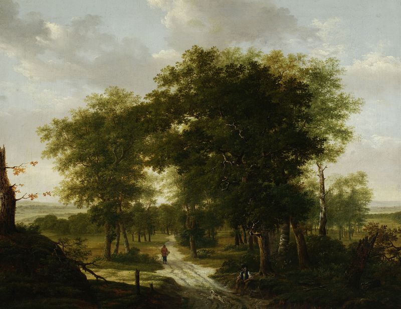 Forest landscape by Kazimierz Żwan, oil painting depicting light filtering through trees.