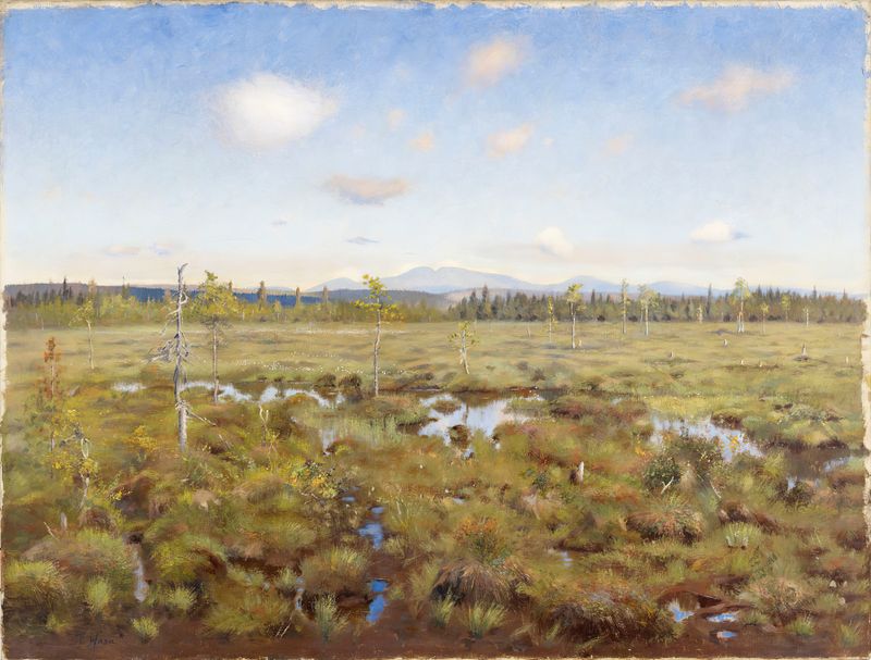 Landscape from Lapland de Torsten Wasastjerna, óleo sobre tela que retrata uma cena natural serena.