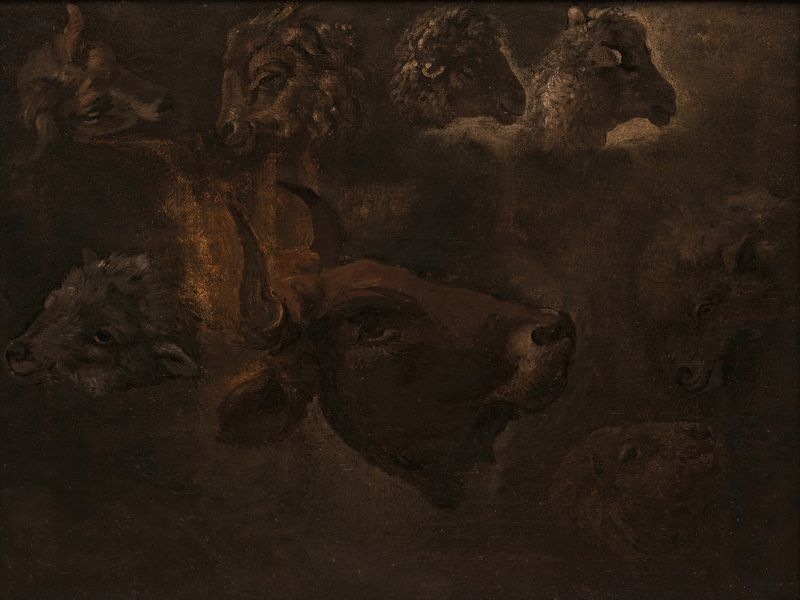 Studies of Animal Heads de Thomas Cole, que representa la cabeza de un toro en pintura al óleo.