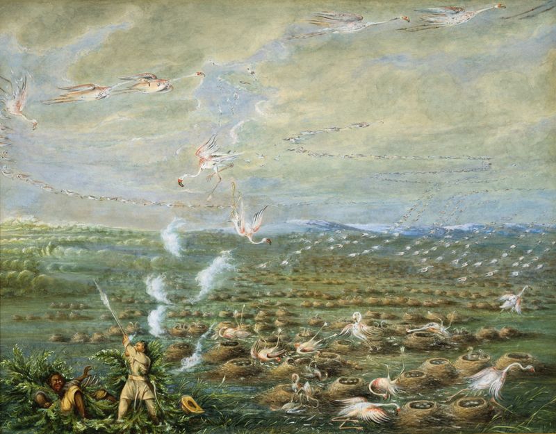 Flamingo Shooting in South America, pintura al óleo de George Catlin, que representa flamencos en un entorno tropical.