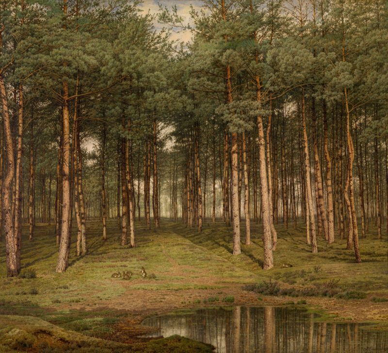 Fir Wood at Putte de Jean Pierre François Lamorinière, pintura al óleo que representa un denso bosque.
