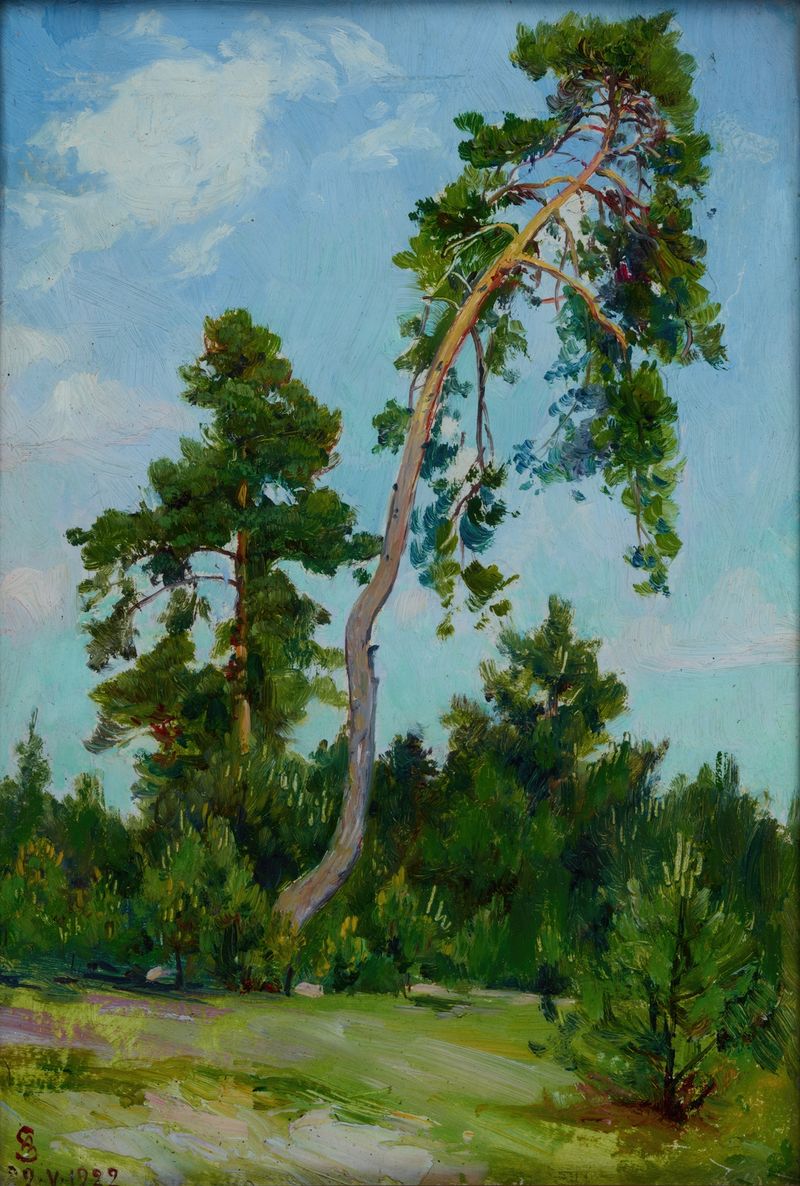 Leaning Pine de Ambroży Sabatowski, paisaje impresionista con un pino y luz solar