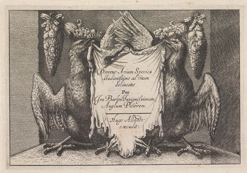 Grabado Acht duiven de Wenceslaus Hollar, con palomas posadas en una rama.